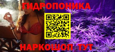 ПСИЛОЦИБИНОВЫЕ ГРИБЫ Бузулук